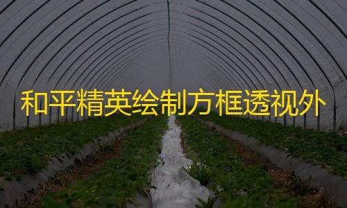 暗区免root科技和平精英绘制方框透视外挂下载